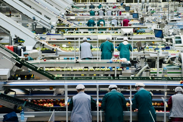 Factory workers on an assembly line.